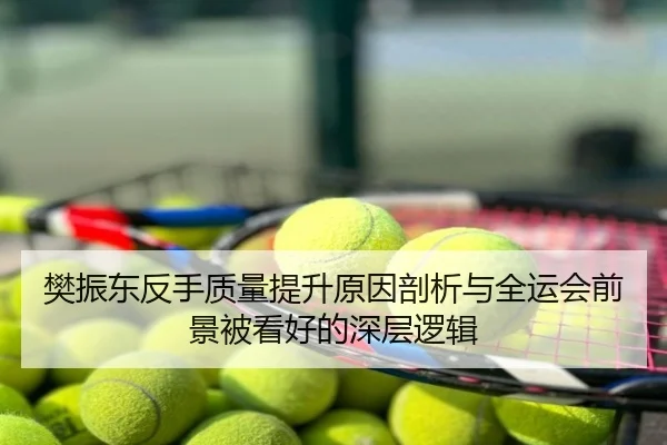 樊振东反手质量提升原因剖析与全运会前景被看好的深层逻辑